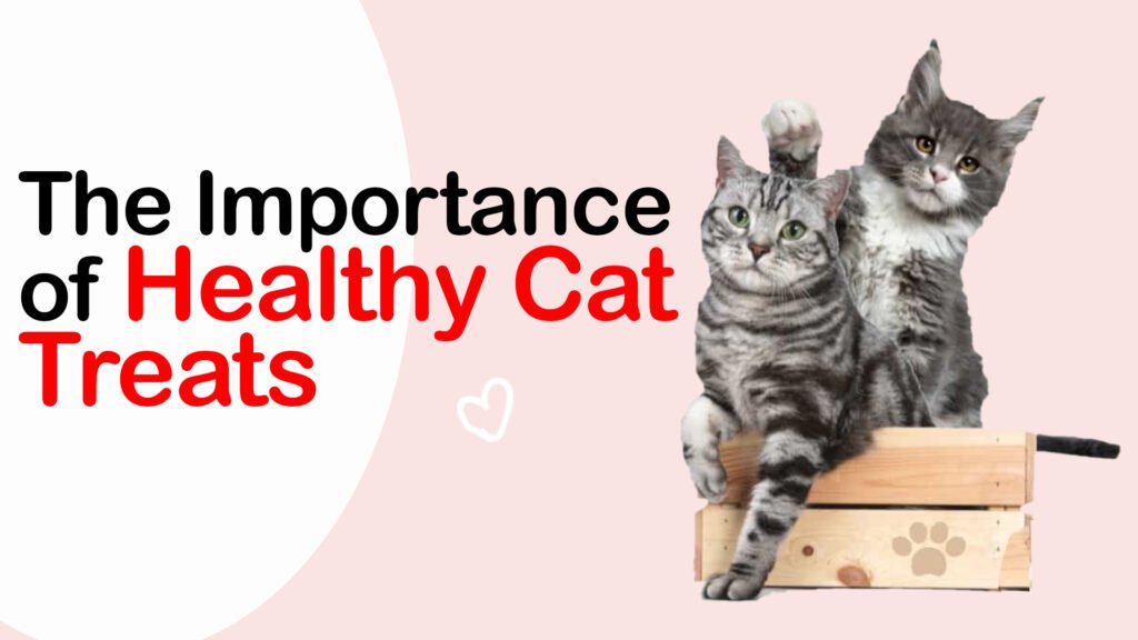 healthy natural Cat treats