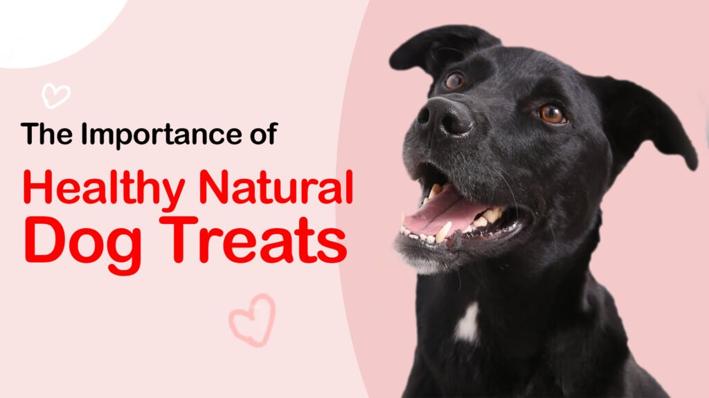 healthy natural dog treats in India