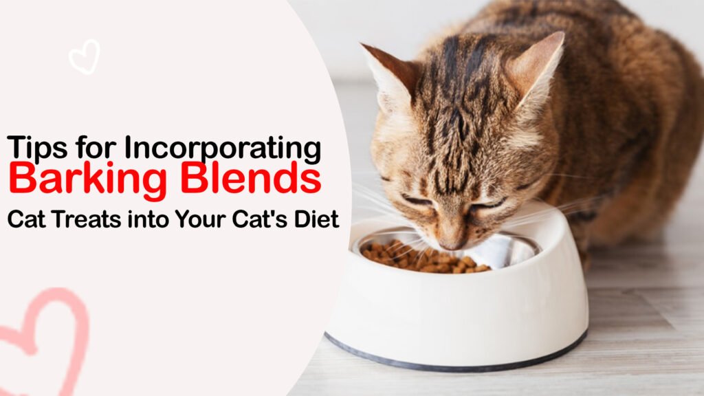 best healthy Cat treats in India