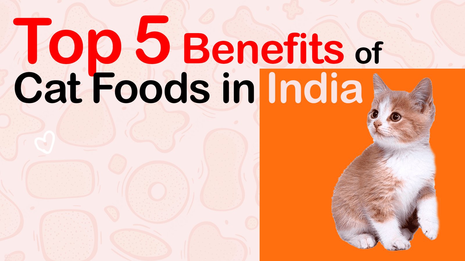 best benefits of Cat foods in India