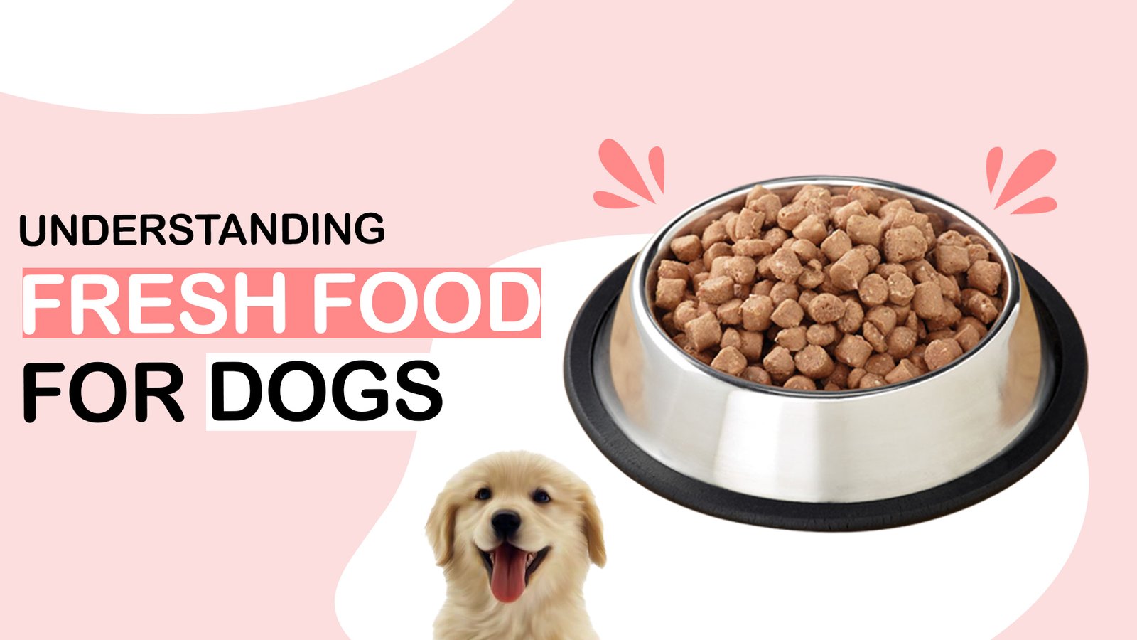 fresh food for dogs in India