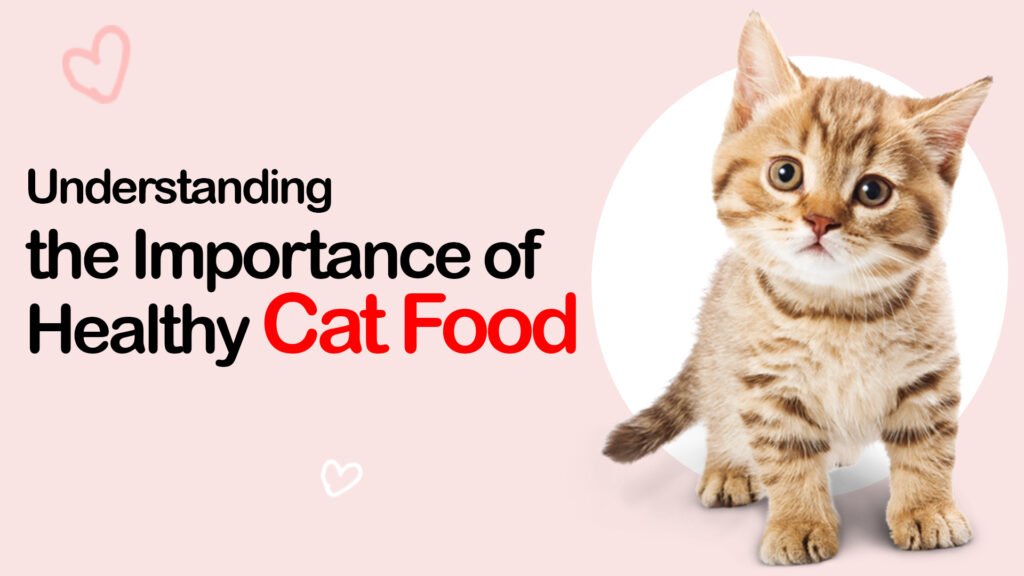 healthy food for Cats in India