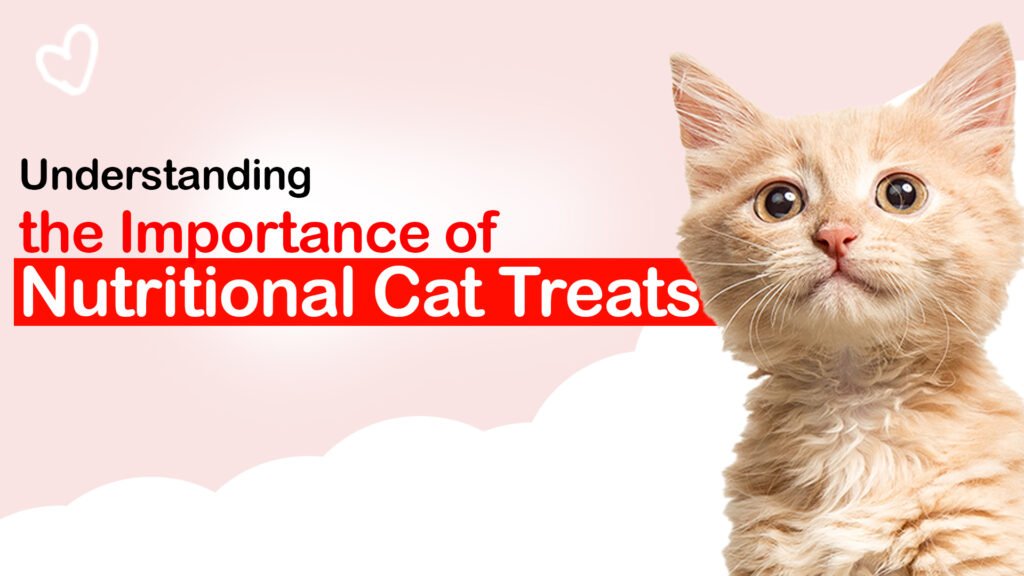 best nutritional Cat treat in India