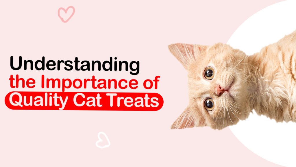 top best Cat treats in India