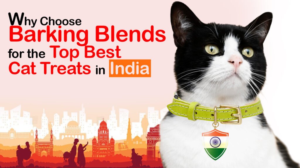 best Cat treats in India