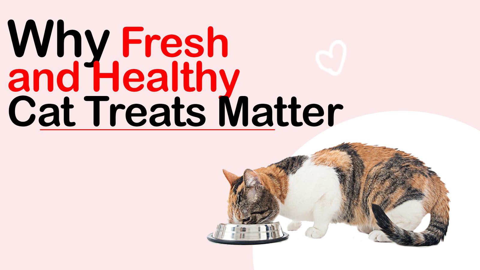 Buy fresh healthy Cat treats